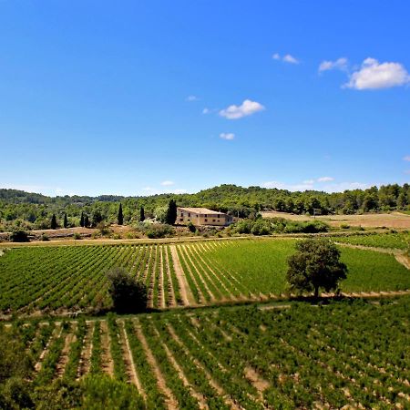 Laure-Minervois Domaine De Palats 게스트하우스 외부 사진