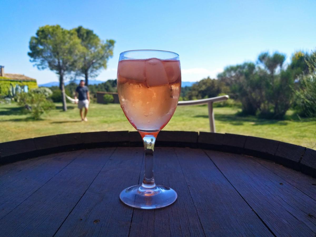 Laure-Minervois Domaine De Palats 게스트하우스 외부 사진