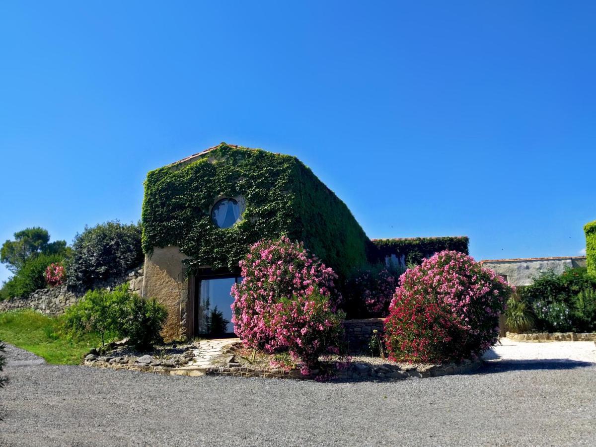 Laure-Minervois Domaine De Palats 게스트하우스 외부 사진