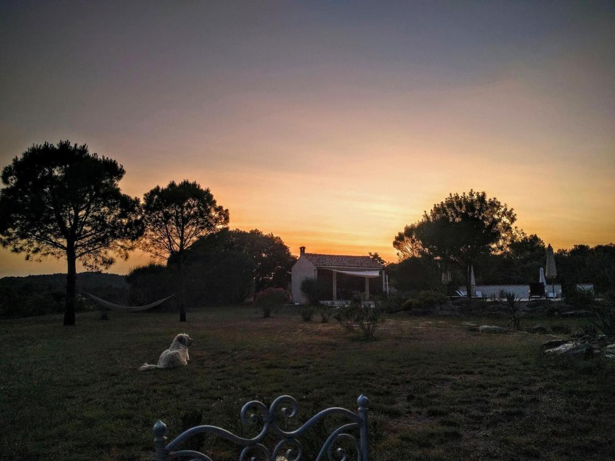 Laure-Minervois Domaine De Palats 게스트하우스 외부 사진