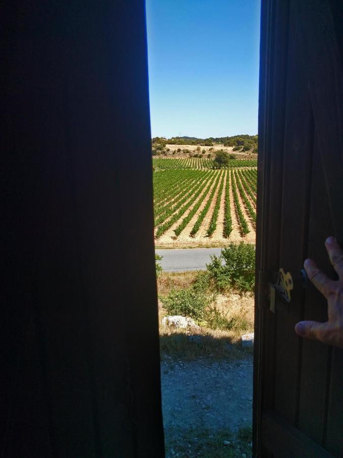 Laure-Minervois Domaine De Palats 게스트하우스 외부 사진